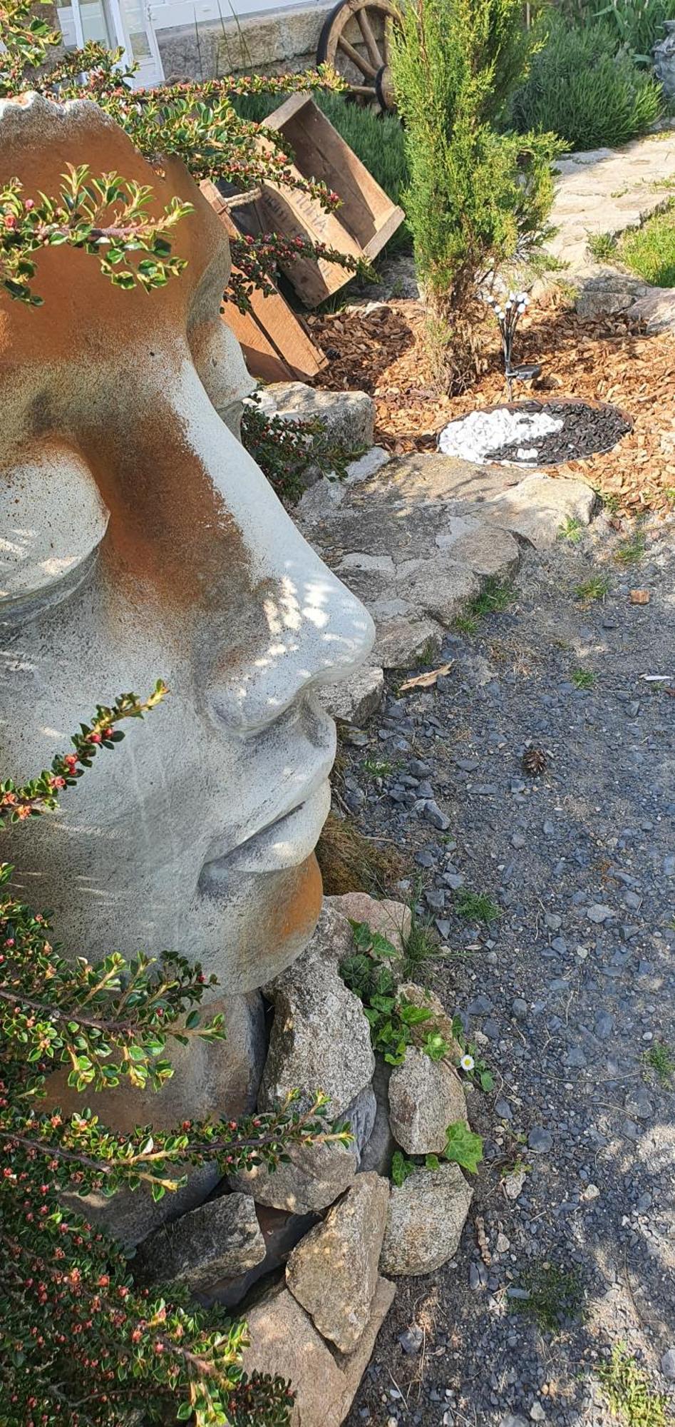 A L'Oree Des Volcans Sainte-Catherine  Exteriér fotografie